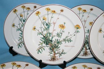 Villeroy & Boch - 24cm - Bord (6) - Botanica - Vitro