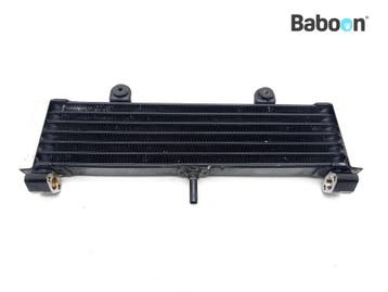 Oliekoeler Yamaha XJR 1300 2004-2006 (XJR1300), Motoren, Verzenden, Gebruikt