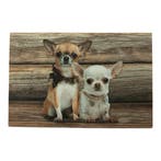 deurmat hout chihuahuas 75x50cm, Verzenden, Nieuw