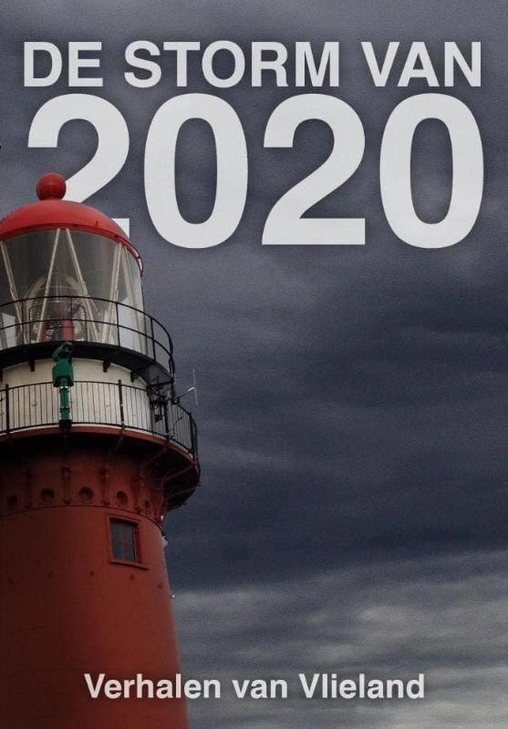 De storm van 2020 9789493157545 Elly Godijn, Boeken, Literatuur, Gelezen, Verzenden