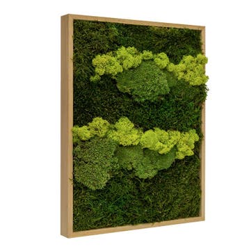 Vintlux Mosschilderij Lappenmos-Rendiermos-Bolmos 60x60 cm, Nieuw