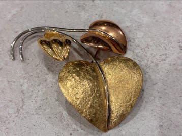 Broche - 18 karaat Geel goud, Witgoud