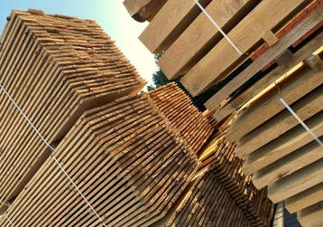 EIKEN BALKEN VOOR AL UW PROJECTEN !, Nieuw, 250 cm of meer, Balken