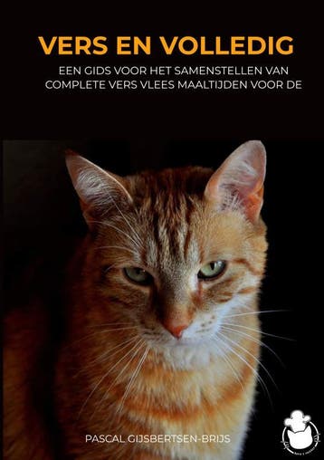 Vers En Volledig | Pascal Gijsbertsen-Brijs | Nieuw, Ophalen of Verzenden, Nieuw, Pascal Gijsbertsen-Brijs