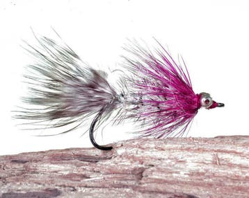 ZEEFOREL VLIEGEN klik naar E10 Flyfishing, Verzenden, Nieuw, Overige typen