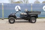 Veiling: Gator Yamaha Utility Vehicle Benzine, Ophalen, Zo goed als nieuw, Golfkar, Overige merken