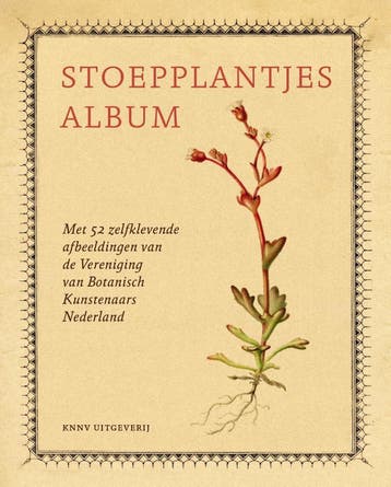 Stoepplantjesalbum | Hortus Botanicus Leiden | Nieuw, Ophalen of Verzenden, Nieuw, Hortus Botanicus Leiden