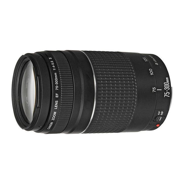 Canon EF 75-300mm f/4.0-5.6 III objectief - Tweedehands, Audio, Tv en Foto, Fotografie | Lenzen en Objectieven, Telelens, Gebruikt