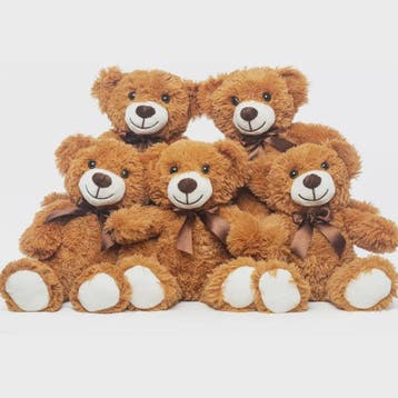 Set van 5 Pluche Teddyberen - 35cm - Knuffel Cadeau voor Kin, Verzenden, Nieuw