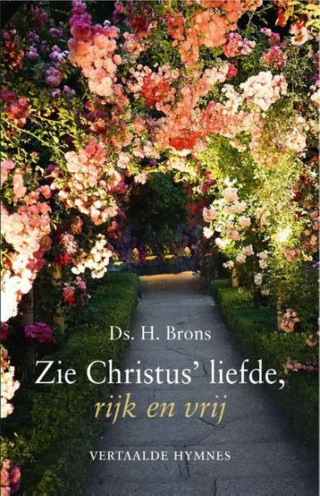 Zie Christus liefde rijk en vrij - Ds. H. Brons, Boeken, Verzenden, Zo goed als nieuw, Ds. H. Brons