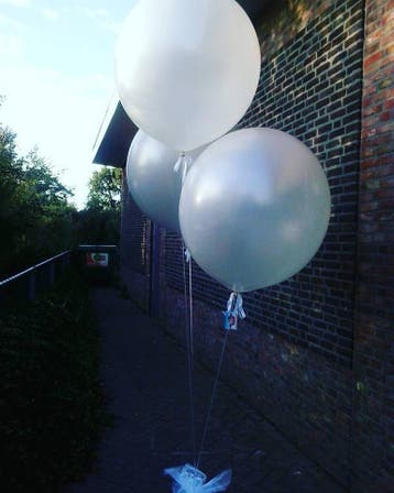 Grote helium Ballon-Transparant tortelduifjes, zonder pasta, Nieuw