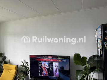 Rotterdam: Knusse flat met 2 kamers, Huizen en Kamers, Woningruil