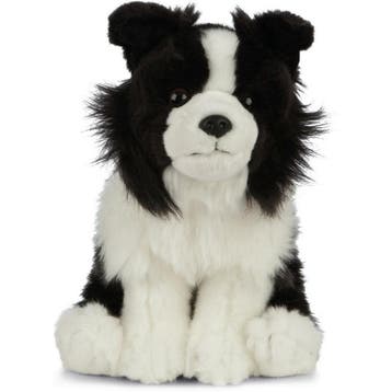 Border Collie knuffel - pluche - 20 cm - hondenknuffel, Verzenden, Nieuw