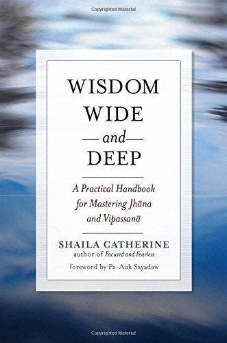Wisdom Wide And Deep - Shaila Catherine - 9780861716234 - Pa, Boeken, Verzenden, Nieuw
