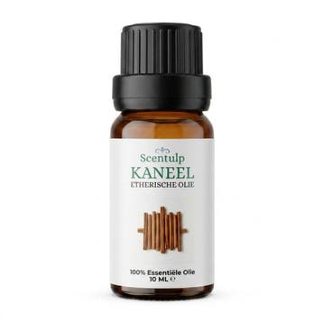 Etherische Olie Kaneel – BIO – 10ml | Scentulp, Verzenden, Nieuw