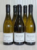 2024 Bourgogne Chardonnay Cuvée Saint Vincent. Vincent, Nieuw