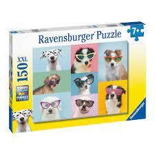 Grappige Honden, Ophalen of Verzenden, Nieuw