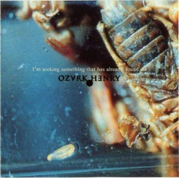 cd - Ozark Henry - Im Seeking Something That Has Already..., Verzenden, Zo goed als nieuw