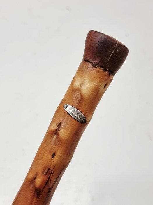 Wandelstok - Hout, Antiek en Kunst, Curiosa en Brocante