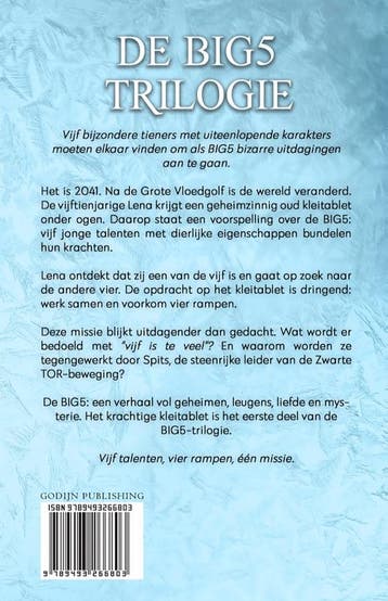 Het krachtige kleitablet / De Big Five / 1 9789493266803, Verzenden, Gelezen, Nanda van Eck