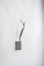 Simone Sirna - Prospettive