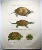 C. J. Brodtmann (b. 1787) Incunable of Lithography, Large, Antiek en Kunst, Antiek | Boeken en Bijbels