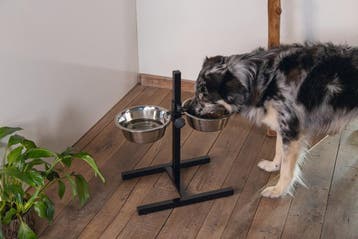 Beeztees Standaard - Dinerset Hond - Zwart - 25 cm, Ophalen of Verzenden, Zo goed als nieuw