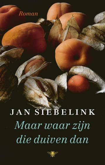Maar waar zijn die duiven dan (9789403182902, Jan Siebelink), Verzenden, Nieuw