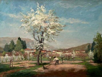 Riccardo Brambilla (1871-1965) - Ciliegio fiorito - XL
