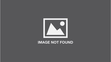 Disney Princess Tangled Classic Movie - Disney Princess, Boeken, Ophalen of Verzenden, Nieuw