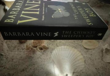 Barbara Vine - The Chimney Sweepers Boy  - English, Boeken, Gelezen, Barbara Vine 