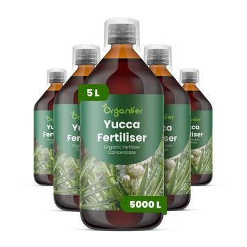 Vloeibare meststof voor Yucca - Set 5x1 liter, Verzenden, Mest