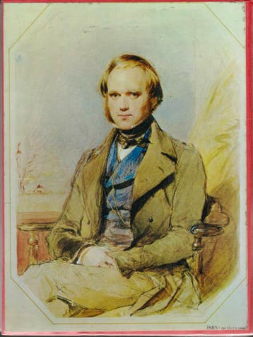Darwin en de beagle 9789061130093 Moorehead, Boeken, Verzenden, Gelezen, Moorehead