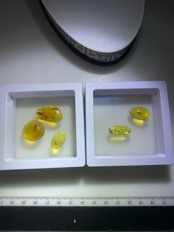 Natuurlijke Birmese amber - Barnsteen - 5 pieces of rare
