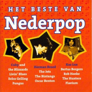 cd - Various - Het beste van Nederpop, Cd's en Dvd's, Cd's | Overige Cd's, Zo goed als nieuw, Verzenden