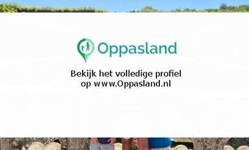 Hanneke zoekt een oppas in Dordrecht voor 2 kinderen op m..., Vacatures