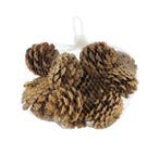 Dennenappels Pinecone 13x3x9cm nature 200gr, Ophalen of Verzenden, Nieuw