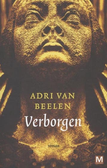 Verborgen - Adri van Beelen 9789460681455, Verzenden, Gelezen, Adri van Beelen