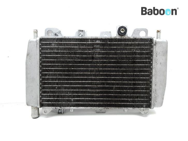 Radiateur Gilera Runner 125 VX 2001-2004 4T M24000, Motoren, Onderdelen | Overige, Gebruikt, Verzenden