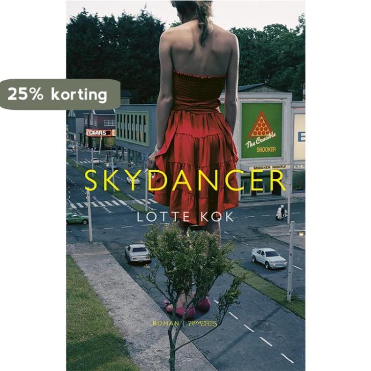 Skydancer - Lotte Kok 9789044632071, Boeken, Romans, Gelezen, Verzenden