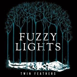 cd card - Fuzzy Lights - Twin Feathers, Verzenden, Zo goed als nieuw, Rock en Metal