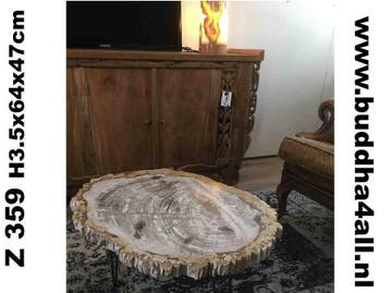 Versteend hout salontafel miljoenen jaar oud! Zeer exclusief, Overige materialen, Minder dan 50 cm, 50 tot 100 cm, Nieuw
