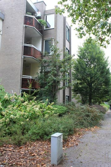 Te huur: Appartement Wal in Veldhoven, Veldhoven, Noord-Brabant, Appartement