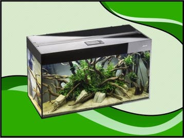 Aquael Glossy 150 zwart aquarium (Glossy aquarium serie), Verzenden, Nieuw