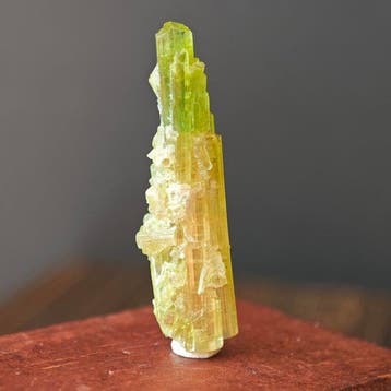10,2 ct esthetische groen/roze cluster turmalijn- 2.04 g, Verzamelen, Mineralen en Fossielen