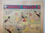 White Boy in Skull Valley - 48 Krantenpaginas en strips -, Boeken, Nieuw
