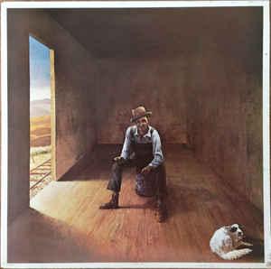 LP gebruikt - Don McLean - Homeless Brother, Verzenden, Zo goed als nieuw, Overige formaten
