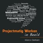 Projectmatig Werken in Beeld 9789080287303, Boeken, Zo goed als nieuw