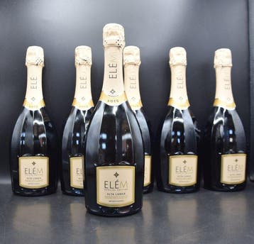 2016 Elém, Metodo Classico - Alta Langa - 6 Flessen (0.75, Nieuw