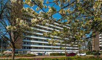Te Huur 3 Kamer Appartement Honthorstlaan In Alkmaar, Huizen en Kamers, Huizen te huur, Alkmaar, Direct bij eigenaar, Noord-Holland